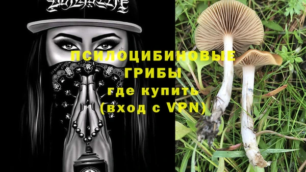 мдпв Вязьма