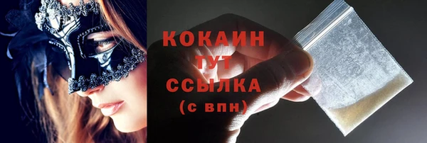 мдпв Вязьма