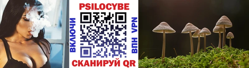 купить наркоту  Фурманов  Псилоцибиновые грибы MAGIC MUSHROOMS 
